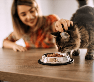 rapariga a dar de comer a gato