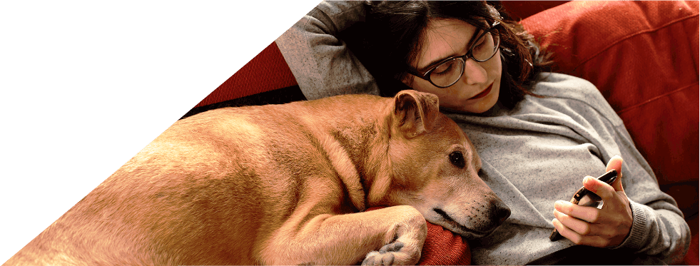 Mulher descansa no sofá com o seu cão e usa o telemóvel.