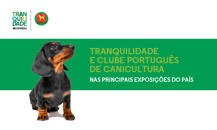 clube português de canicultura