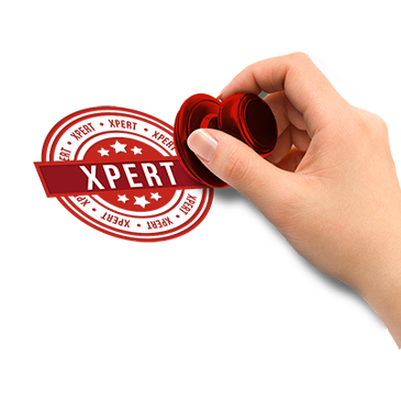 programa talentos xpert